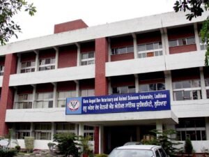 वेटरनरी यूनिवर्सिटी द्वारा अग्रणी किसानों के लिए मुख्यमंत्री पुरस्कारों की घोषणा